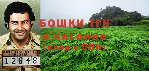 ГАЛЛЮЦИНОГЕННЫЕ ГРИБЫ Абдулино