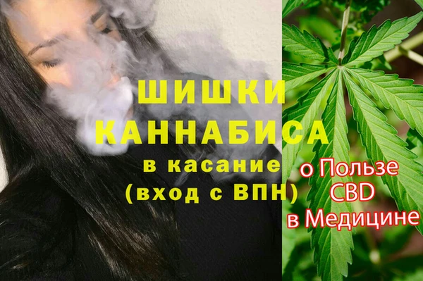 ГАЛЛЮЦИНОГЕННЫЕ ГРИБЫ Абдулино