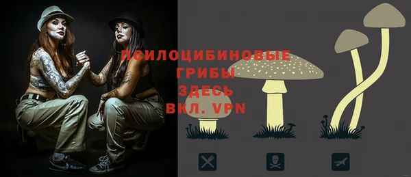гашик Абинск