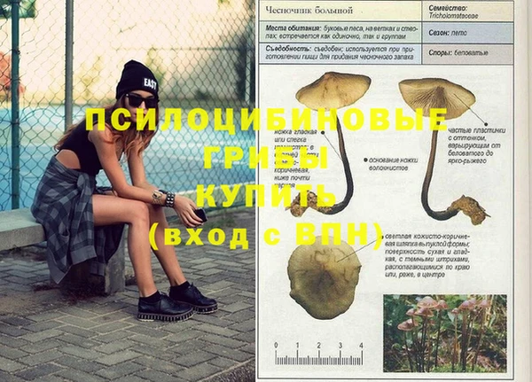 дживик Алексеевка