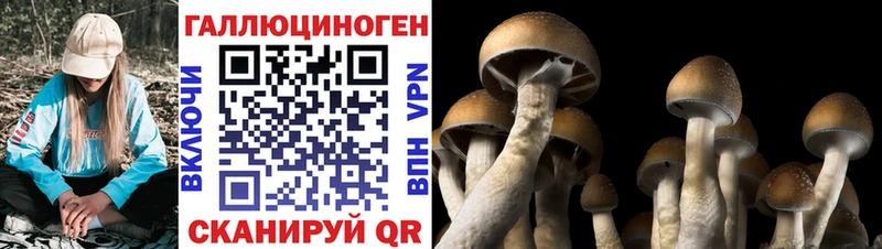 купить закладку  Донецк  Псилоцибиновые грибы Magic Shrooms 